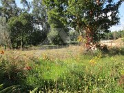 Terreno R�stico - Fornelos, Ponte de Lima, Viana do Castelo - Miniatura: 1/2