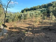 Terreno R�stico - Arca, Ponte de Lima, Viana do Castelo - Miniatura: 6/9