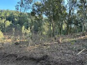 Terreno R�stico - Arca, Ponte de Lima, Viana do Castelo - Miniatura: 8/9