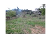 Terreno R�stico - Fornelos, Ponte de Lima, Viana do Castelo - Miniatura: 1/2