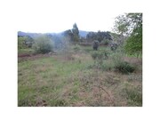 Terreno R�stico - Fornelos, Ponte de Lima, Viana do Castelo - Miniatura: 2/2