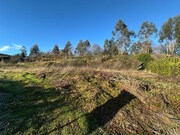 Terreno R�stico - Paredes de Coura, Paredes de Coura, Viana do Castelo - Miniatura: 2/9