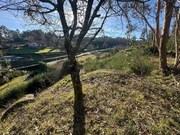 Terreno R�stico - Paredes de Coura, Paredes de Coura, Viana do Castelo - Miniatura: 6/9