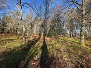 Terreno R�stico - Paredes de Coura, Paredes de Coura, Viana do Castelo - Miniatura: 7/9