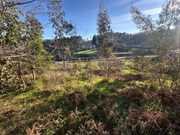 Terreno R�stico - Paredes de Coura, Paredes de Coura, Viana do Castelo - Miniatura: 9/9