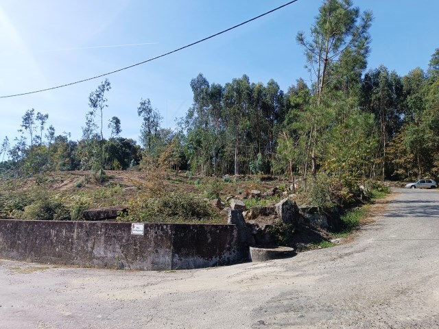 Terreno R�stico - Turiz, Vila Verde, Braga - Imagem grande