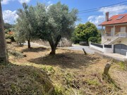 Moradia T0 - Vitorino das Donas, Ponte de Lima, Viana do Castelo - Miniatura: 7/9