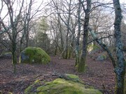 Quinta - Castanheira, Paredes de Coura, Viana do Castelo - Miniatura: 2/5