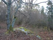 Quinta - Castanheira, Paredes de Coura, Viana do Castelo - Miniatura: 4/5