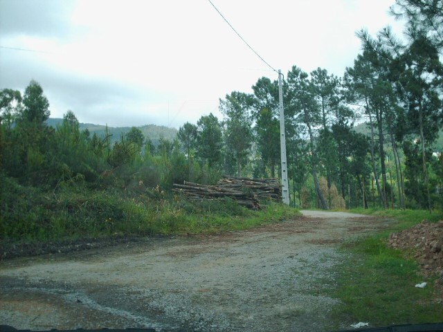 Terreno R�stico - Gondufe, Ponte de Lima, Viana do Castelo - Imagem grande