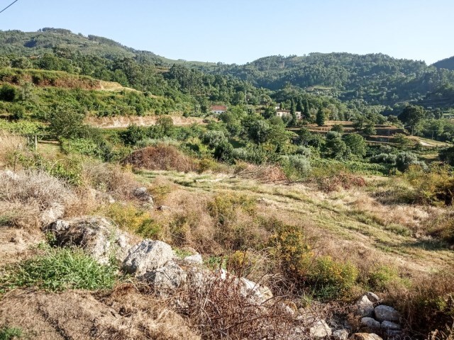 Terreno R�stico - Gondufe, Ponte de Lima, Viana do Castelo - Imagem grande