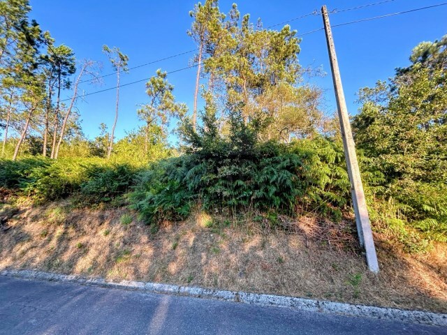 Terreno R�stico - Coura, Paredes de Coura, Viana do Castelo - Imagem grande