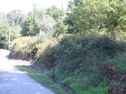 Terreno Rstico - Ribeira, Ponte de Lima, Viana do Castelo
