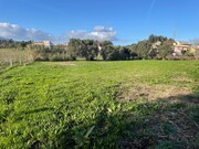 Terreno Rstico - Feitosa, Ponte de Lima, Viana do Castelo - Miniatura: 1/5