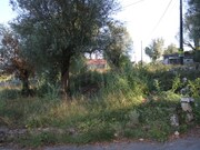 Terreno R�stico - Gandra, Ponte de Lima, Viana do Castelo - Miniatura: 1/5