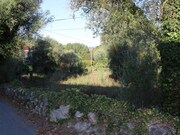 Terreno R�stico - Gandra, Ponte de Lima, Viana do Castelo - Miniatura: 3/5