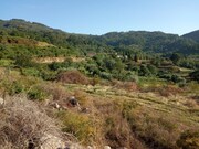 Terreno R�stico - Gondufe, Ponte de Lima, Viana do Castelo - Miniatura: 2/4