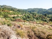 Terreno R�stico - Gondufe, Ponte de Lima, Viana do Castelo - Miniatura: 3/4