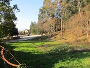 Terreno Rstico - Fornelos, Ponte de Lima, Viana do Castelo - Miniatura: 4/4