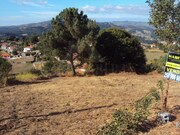 Terreno R�stico - Paredes de Coura, Paredes de Coura, Viana do Castelo - Miniatura: 5/6