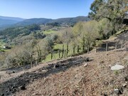 Ruina - Labruja, Ponte de Lima, Viana do Castelo - Miniatura: 6/9