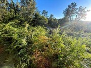 Terreno R�stico - Coura, Paredes de Coura, Viana do Castelo - Miniatura: 3/4