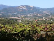 Terreno Rstico - Ribeira, Ponte de Lima, Viana do Castelo - Miniatura: 3/3