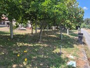Moradia T2 - Estor�os, Ponte de Lima, Viana do Castelo - Miniatura: 5/9