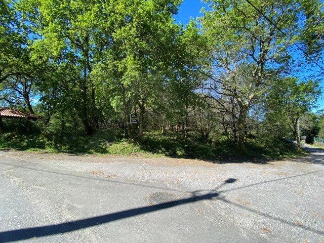 Terreno R�stico - Vasc�es, Paredes de Coura, Viana do Castelo - Imagem grande