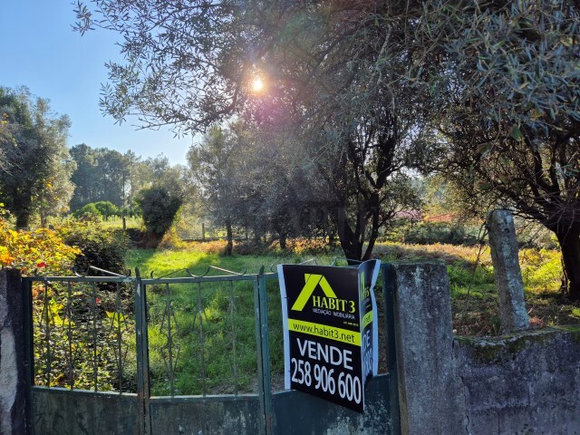 Terreno R�stico - S�o Pedro de Arcos, Ponte de Lima, Viana do Castelo - Imagem grande