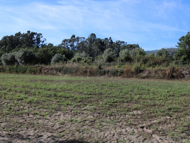 Terreno R�stico - Ref�ios do Lima, Ponte de Lima, Viana do Castelo - Imagem grande
