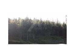 Terreno R�stico - Serdedelo, Ponte de Lima, Viana do Castelo
