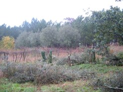 Terreno R�stico - Rebord�es de Souto, Ponte de Lima, Viana do Castelo