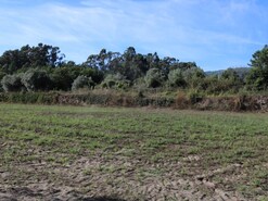 Terreno R�stico - Ref�ios do Lima, Ponte de Lima, Viana do Castelo