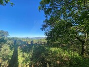 Terreno R�stico - Vasc�es, Paredes de Coura, Viana do Castelo - Miniatura: 4/7