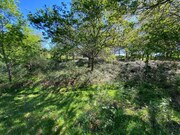 Terreno R�stico - Vasc�es, Paredes de Coura, Viana do Castelo - Miniatura: 6/7