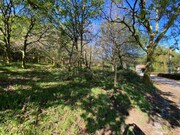 Terreno R�stico - Vasc�es, Paredes de Coura, Viana do Castelo - Miniatura: 7/7