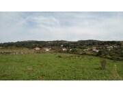 Terreno R�stico - Padornelo, Paredes de Coura, Viana do Castelo - Miniatura: 3/7