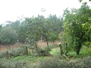 Terreno R�stico - Rebord�es de Souto, Ponte de Lima, Viana do Castelo - Miniatura: 3/4