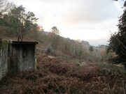 Terreno R�stico - Gondufe, Ponte de Lima, Viana do Castelo - Miniatura: 2/7