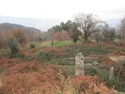 Terreno R�stico - Gondufe, Ponte de Lima, Viana do Castelo - Miniatura: 5/7