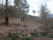 Terreno R�stico - Gondufe, Ponte de Lima, Viana do Castelo - Miniatura: 6/7