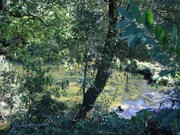 Terreno R�stico - Ref�ios do Lima, Ponte de Lima, Viana do Castelo - Miniatura: 4/8