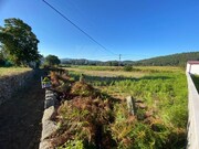 Terreno R�stico - Formariz e Ferreira, Paredes de Coura, Viana do Castelo - Miniatura: 3/8