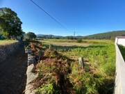 Terreno R�stico - Formariz e Ferreira, Paredes de Coura, Viana do Castelo - Miniatura: 5/8