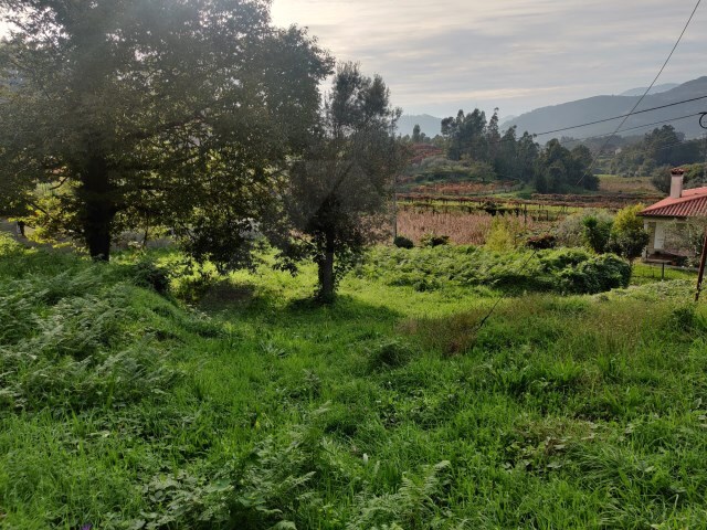Terreno R�stico - Brandara, Ponte de Lima, Viana do Castelo - Imagem grande