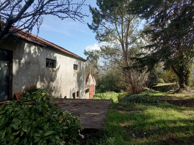 Terreno R�stico - Lanheses, Viana do Castelo, Viana do Castelo - Imagem grande