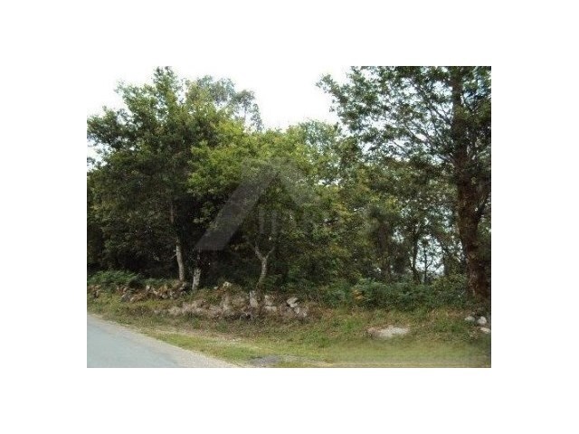 Terreno R�stico - Castanheira, Paredes de Coura, Viana do Castelo - Imagem grande