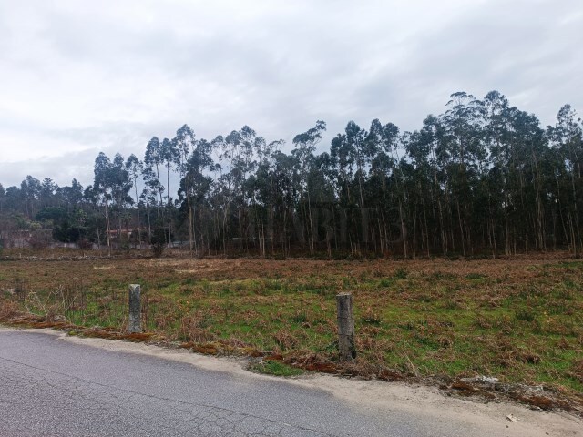 Terreno Rústico - Alheira, Barcelos, Braga - Imagem grande