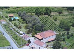 Quinta T5 - Santa Comba, Ponte de Lima, Viana do Castelo